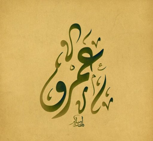 عمرو عبد الهادي