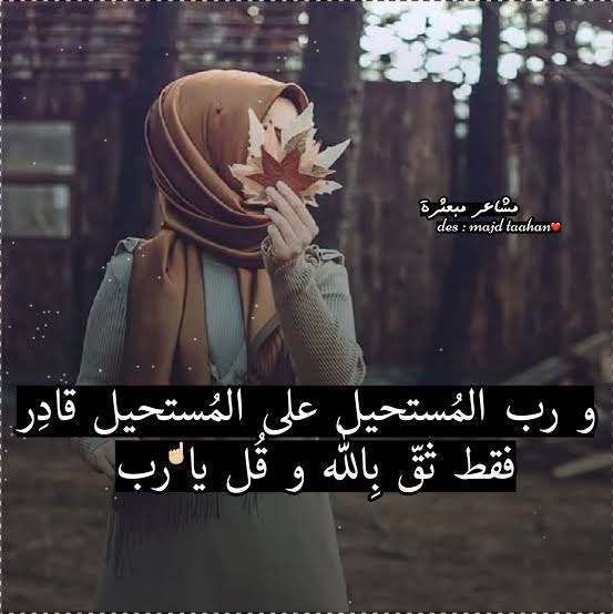 تسنيم